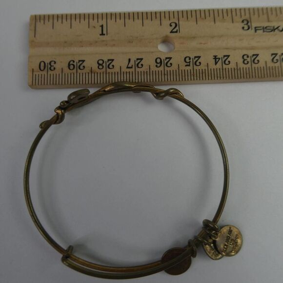 Alex and Ani Spiritual Armour Om Rafaelian Gold-Tone Wire Bangle Bracelet Yoga - Picture 7 of 8